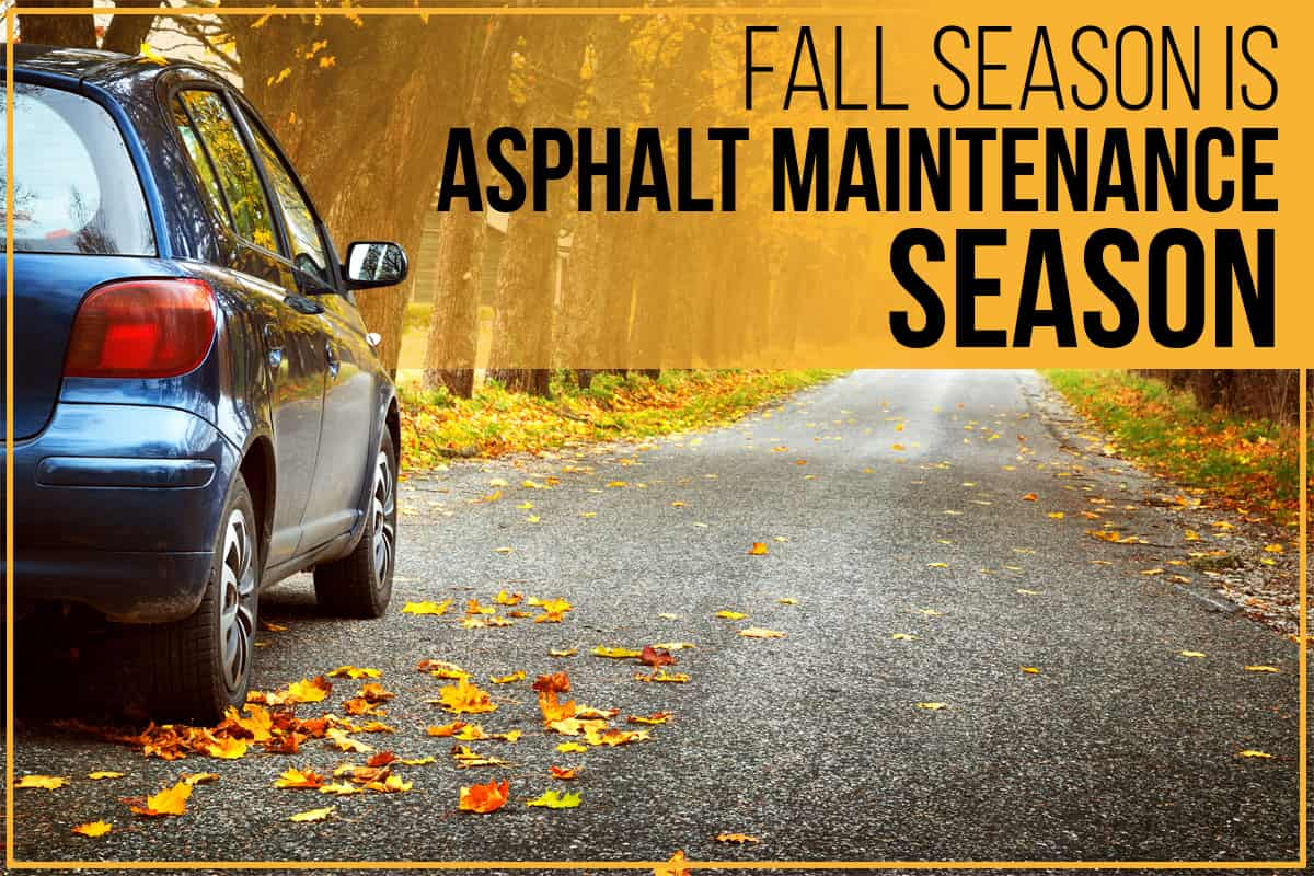 Image of car on road in fall